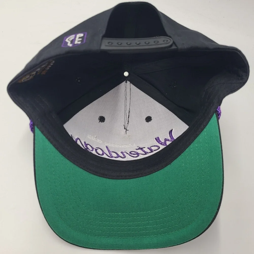 Philadelphia Waterdogs Hat Snapback Black Purple Rope PLL Lacrosse Script Men